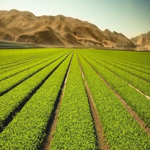 WhatsApp Image 2024-05-20 at 12.06.09 PM