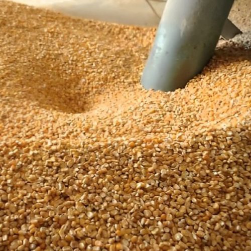 الصناعات الزراعية الصناعات الزراعية